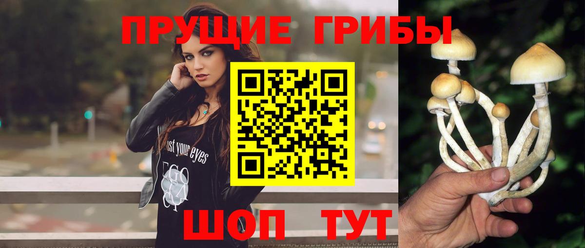 Галлюциногенные грибы Psilocybine cubensis  Вход с VPN  Ковров 